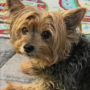 Meet your Posher, Ann